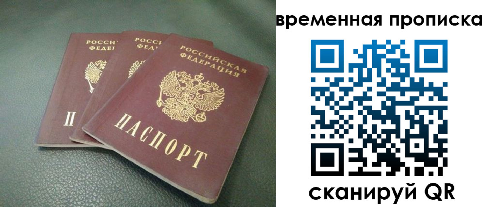 прописка гарантия в Карабаново